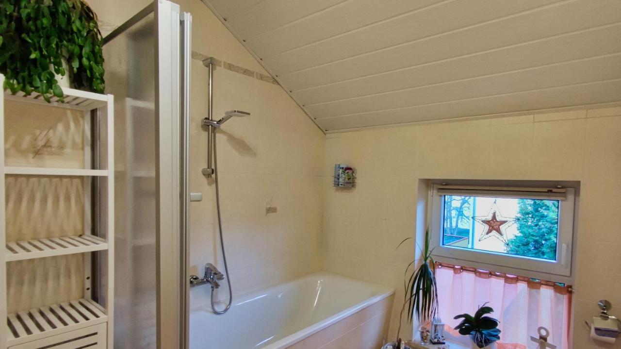 Mycozyplace - Zwei Gemuetliche Zimmer Fuer Vier Dresden Exterior foto